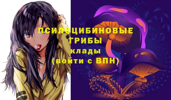 ALPHA PVP Аркадак