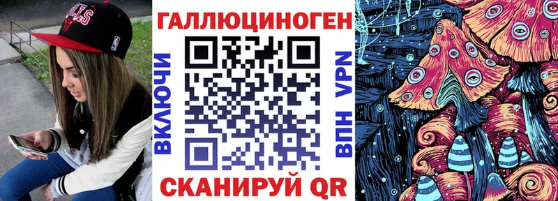 цена   Шумиха  Псилоцибиновые грибы мицелий 